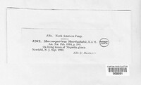 Image Associated With the Occurence